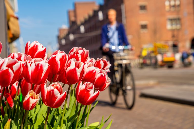 triphub amsterdam